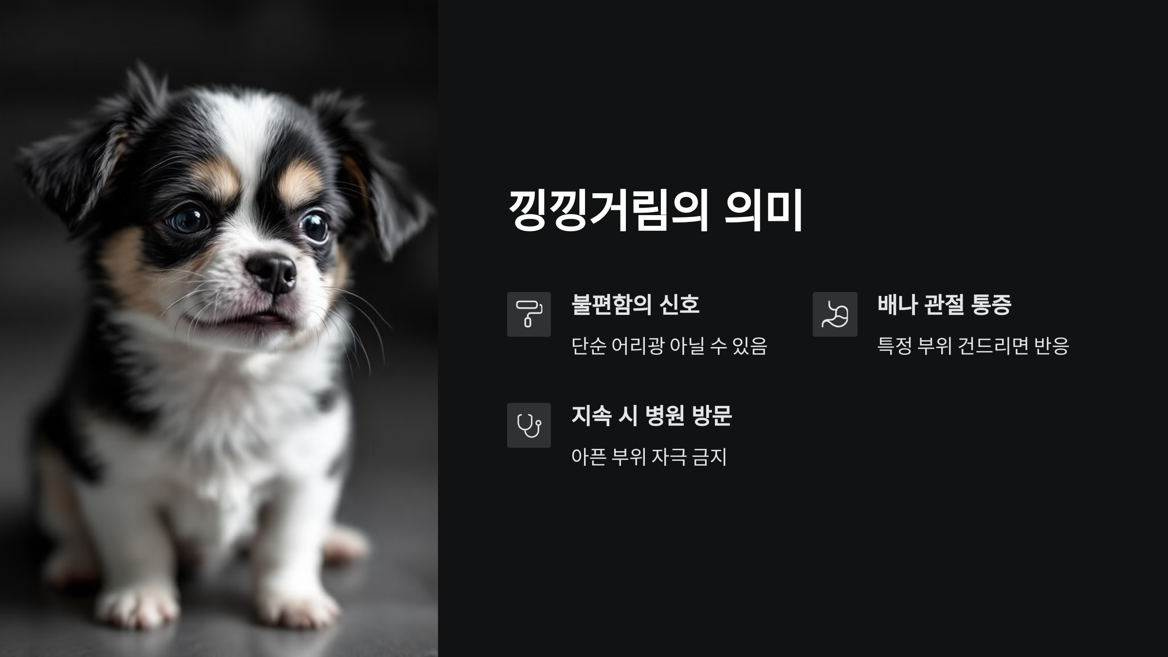 강아지아플때