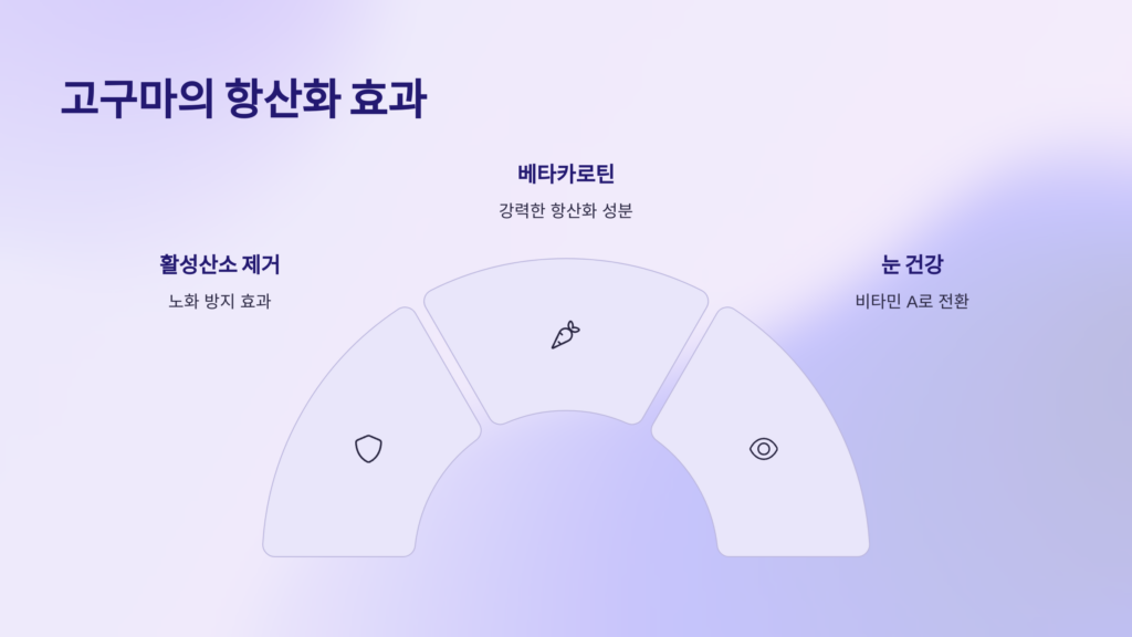 항산화